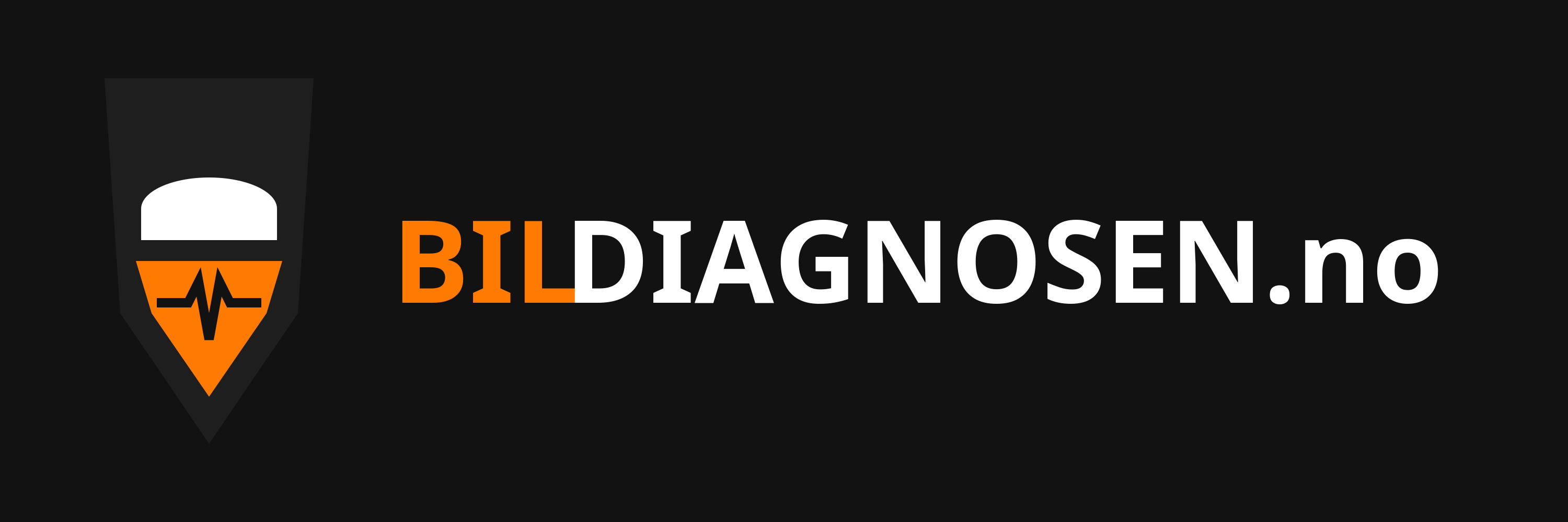Bildiagnosen.no logo